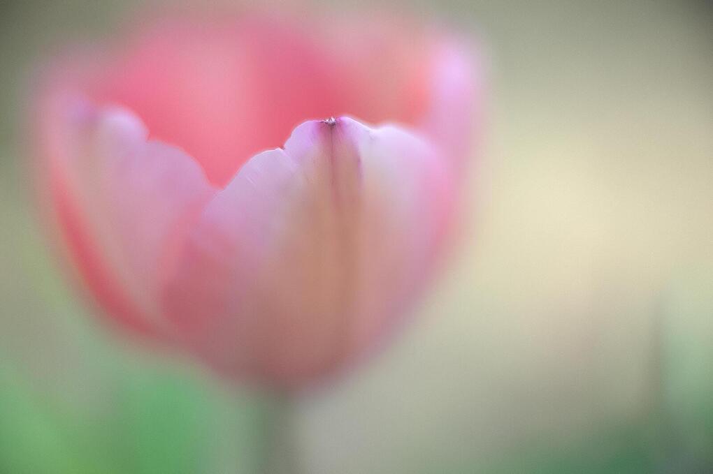 0000159.jpg