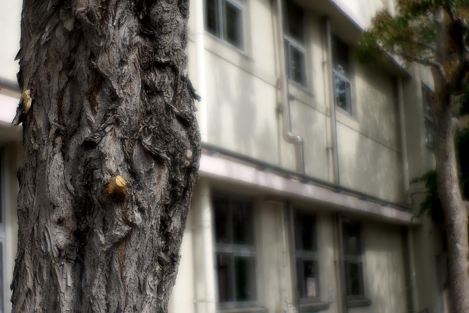 95.jpg