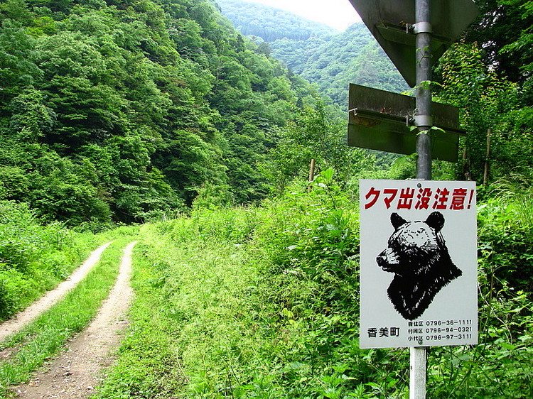 IMG_0509s.jpg